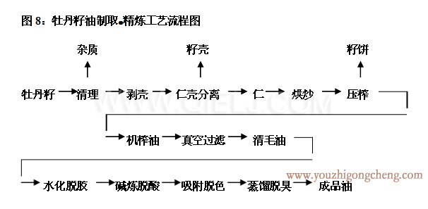 牡丹籽油榨油精煉生產線(圖4)